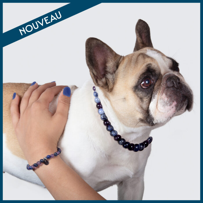 Bracelet lithothérapie assorti au collier de votre chien