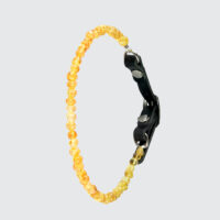 Collier anti-tiques, puces & allergies