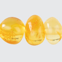Collier anti-tiques, puces & allergies – Image 4
