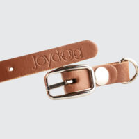 Collier anti-agressivité – Image 4