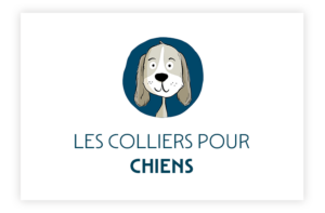 Bouton-colection-chien