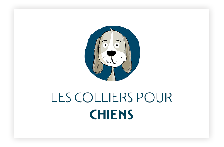 Bouton-colection-chien