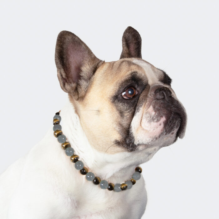 Collier protection et régénérant
